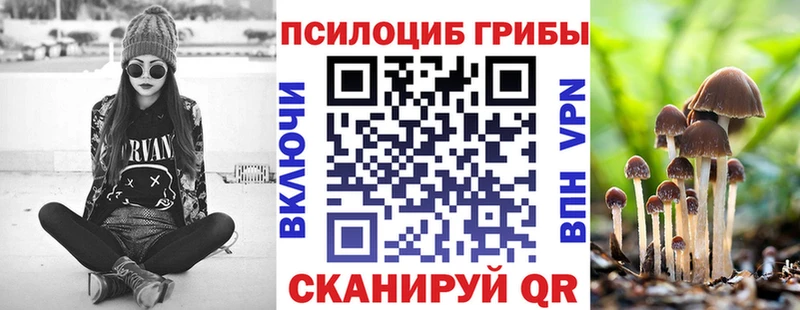 купить  сайты  hydra как войти  Галлюциногенные грибы мицелий  Гатчина 